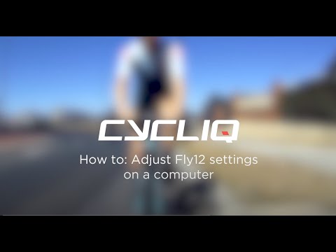 How to adjust Fly12 settings on a computer