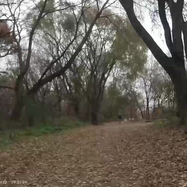 Pee Dog Shared on UpRide: Abused for being in the primary position